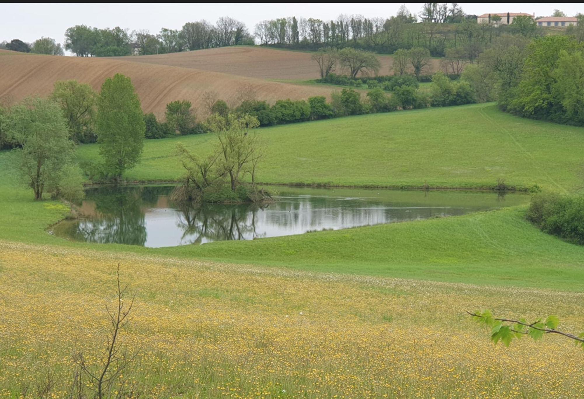 Seuls En Pleine Nature - La Cote Blanche Holiday home